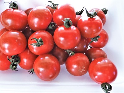 tomato2