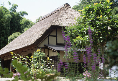 老Kaneko家庭住宅首要