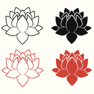 美丽的莲花。