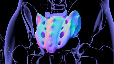 人体骨骼解剖骶骨3D渲染