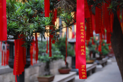 盆景树上挂着中国的祈祷彩带