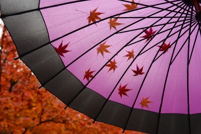 日本伞在秋天。