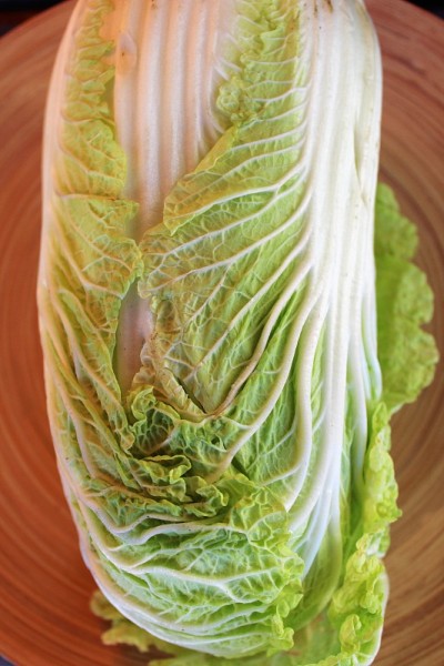 特写:竹碗上的大白菜