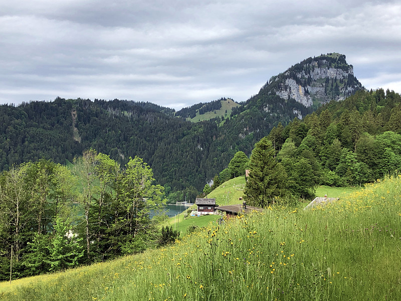 瑞士施维茨州内塔尔的瓦格塔勒尔湖(Waegitalersee)山谷中的高山牧场和草地