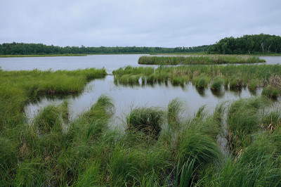 Breezy Point附近的Rice Lake