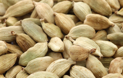 小豆蔻籽