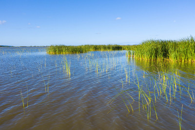 iSimangaliso湿地公园鸟瞰图。马普塔兰，南非东海岸夸祖鲁-纳塔尔省的一个地区。