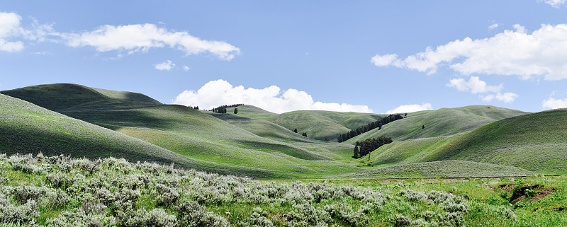 风景