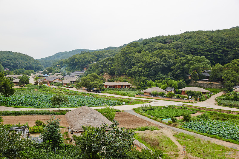 阳东民间村