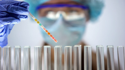 科学家拿着石蕊试纸分析反应，化学实验，测试