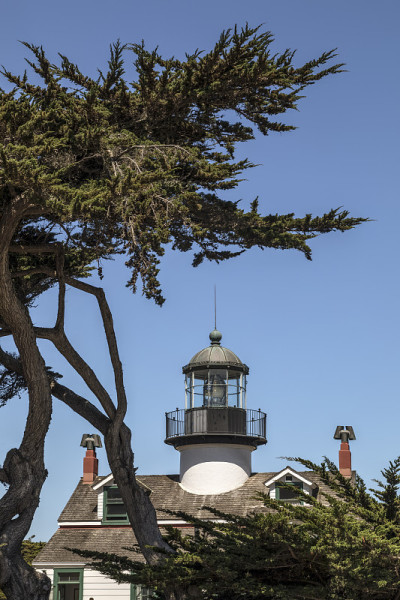 Point Pinos Lighthouse和Monterey Cypress