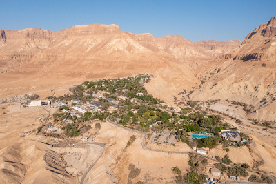 Kibbutz Ein Gedi绿洲和自然保护区的鸟瞰图。