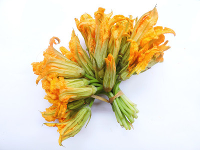 南瓜花