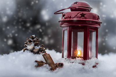 雪上红灯笼