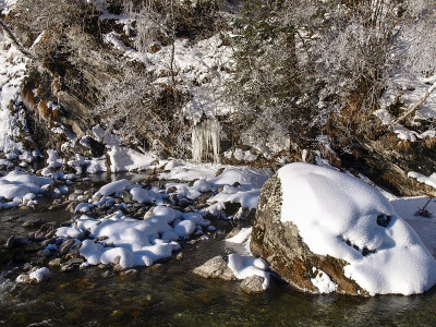 萨沃宁，大雪和霜冻与针由于极度寒冷