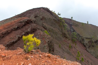 火山路线，拉帕尔马。
