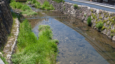 春小川日本清流