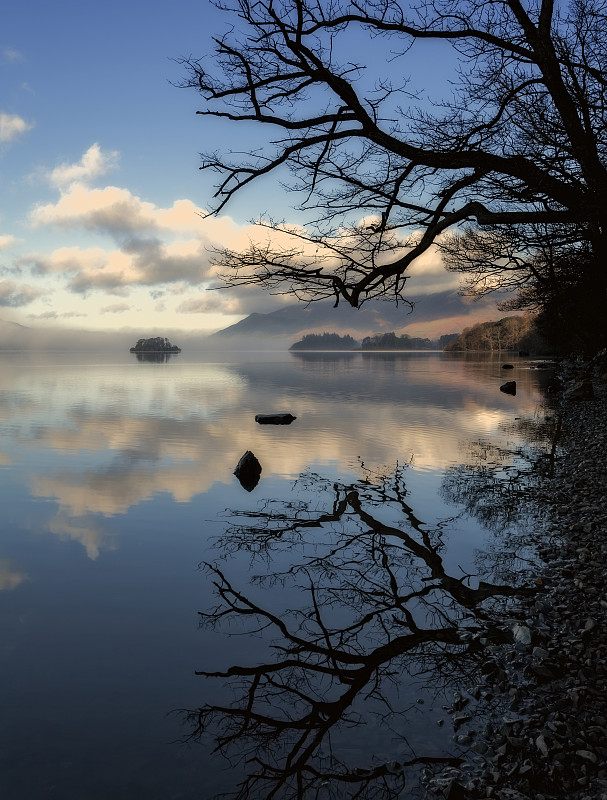 Derwentwater树