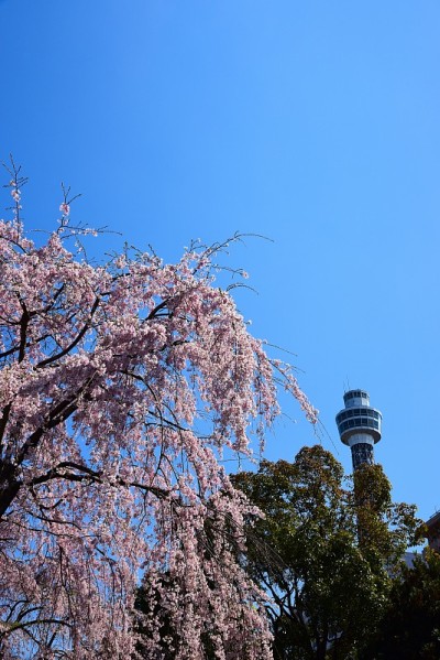横滨