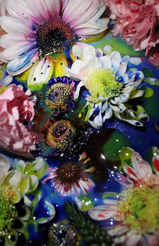 染花