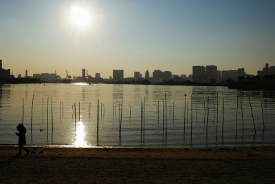 日本东京台场海滩公园。
