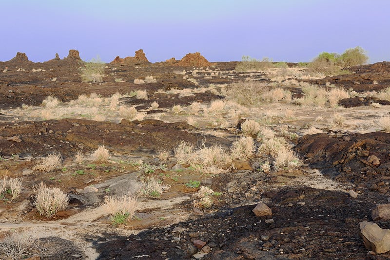 达纳基尔洼地的火山岩石景观-埃塞俄比亚。0247