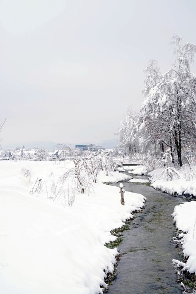 冬季流经瑞士乌尔多夫村的一条叫舍夫利巴赫的小溪。两岸都被大雪覆盖。
