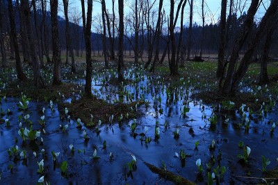 秋田县Mizubasho殖民地