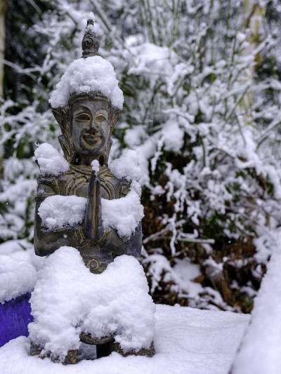 祈求雪