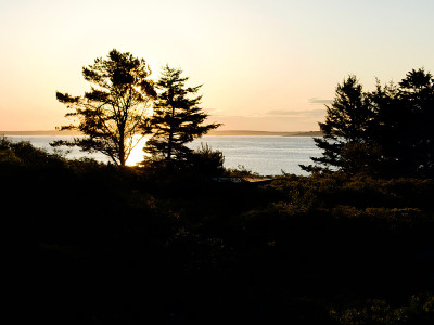 Jaquish岛场景