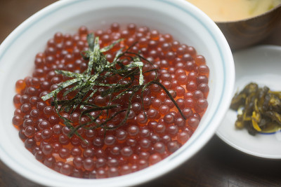 日本料理 Ikuradon