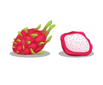 火龙果又名pitahaya或草莓梨对象集插图向量