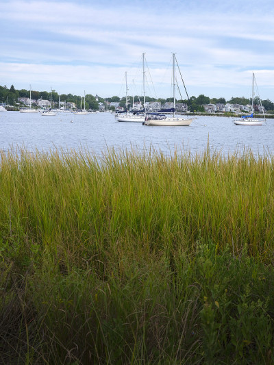 沼泽草和船停泊在海湾