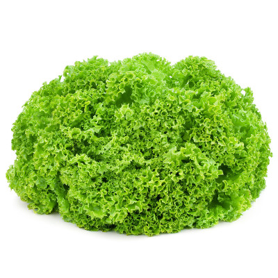 生菜