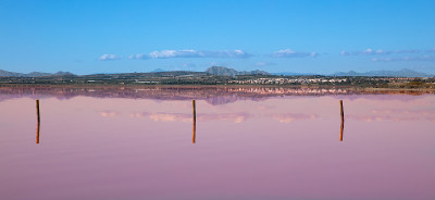 Torrevieja-西班牙的Costa Blanca, rosa laguna
