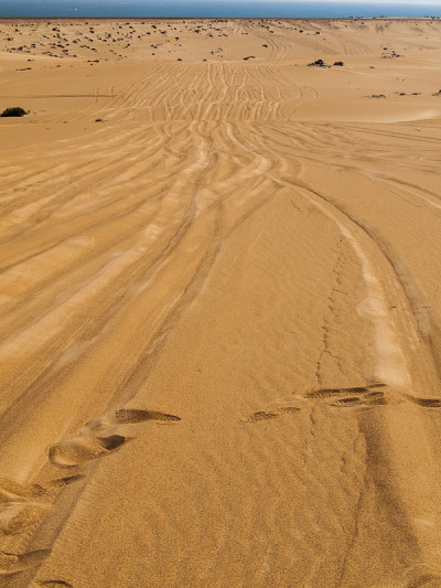 Wahiba