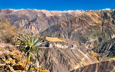 秘鲁科尔卡峡谷的风景