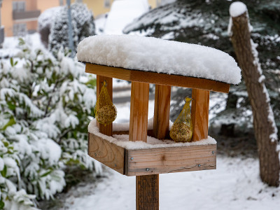 鸟屋被雪覆盖