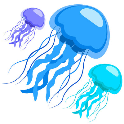 Jellyfish, the underwater world. Stylized jellyfis