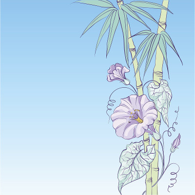 旋花和竹子