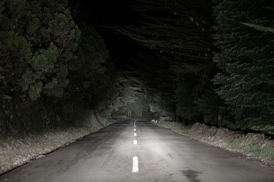黑暗的道路