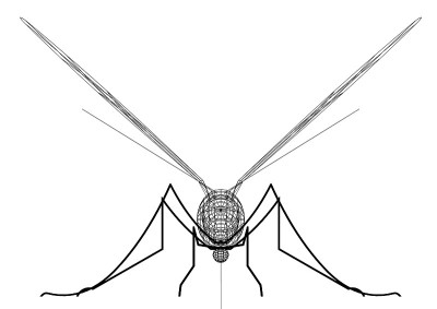 蚊子