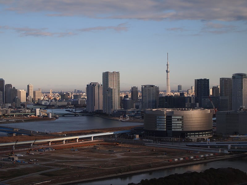 东京新鱼市