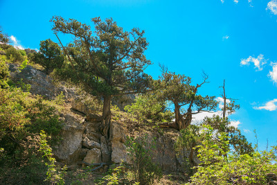 美丽的夏日海景在克里米亚的度假山上