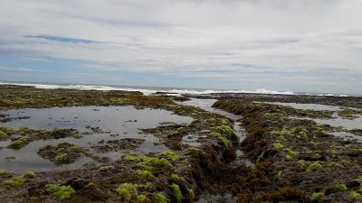印度尼西亚Sukabumi, Minajaya海滩上的岩石、水和海浪的照片