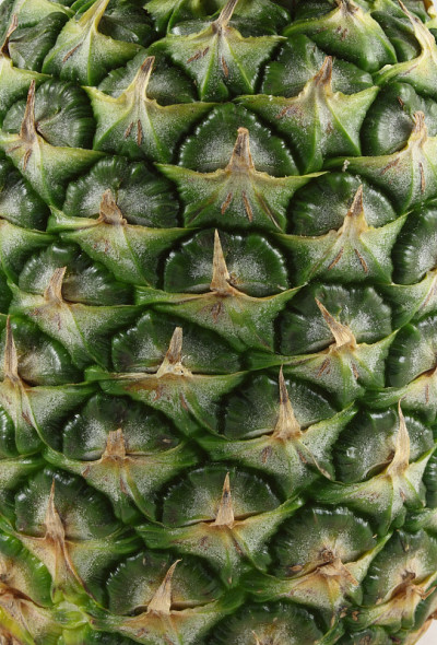 菠萝肌理