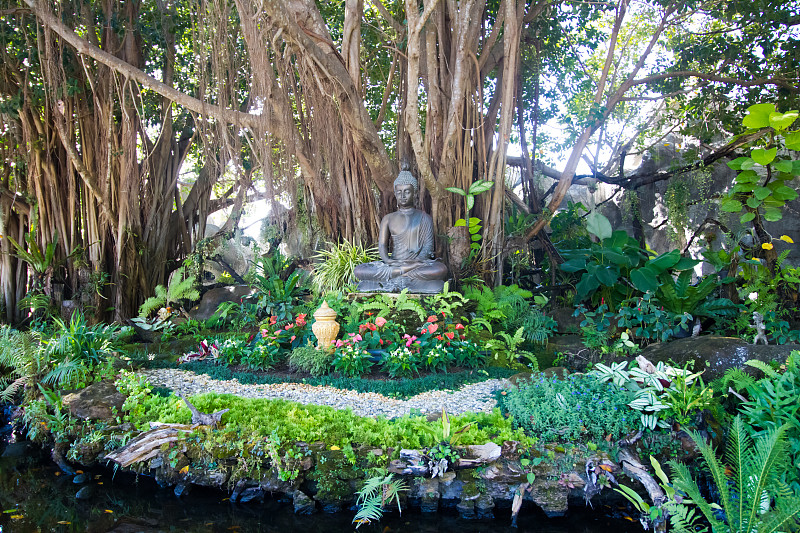 Buddha in the garden