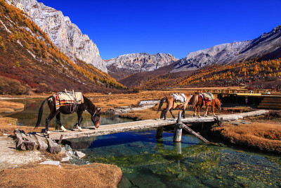 秋天风景