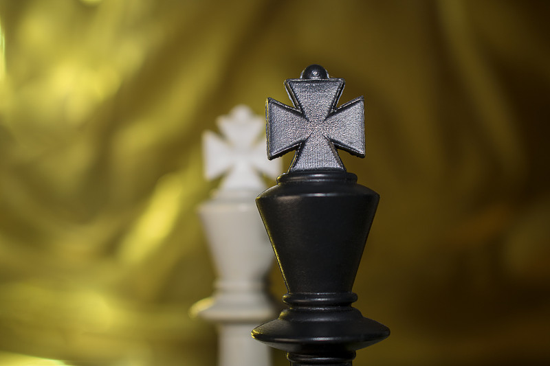 每个棋子都是战略象棋