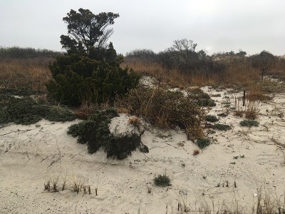 纽约长岛春季多云的早晨。